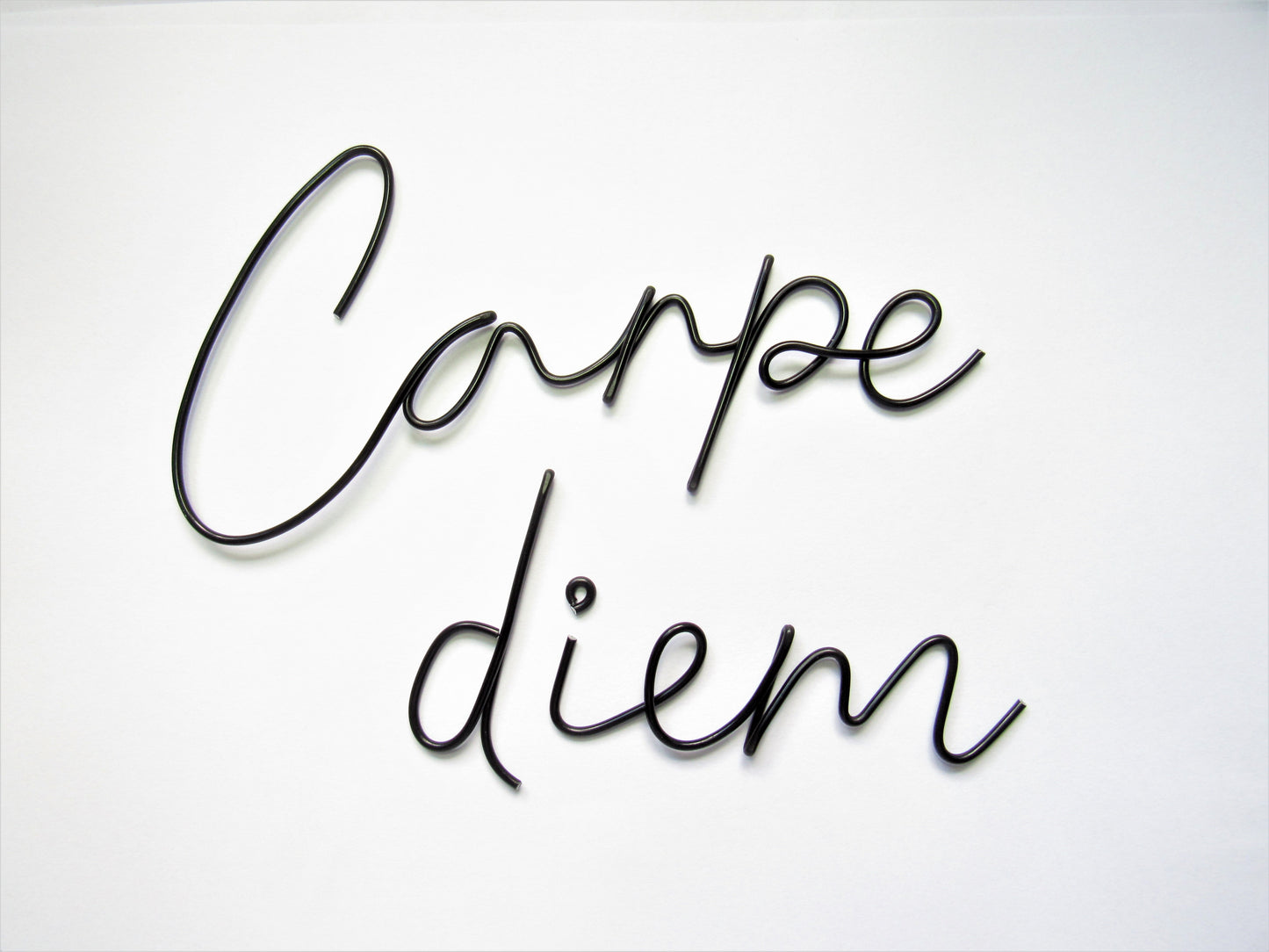 Carpe diem sign wire wall art