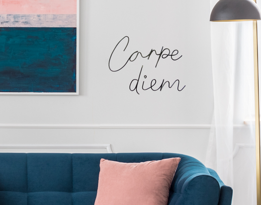 Carpe diem sign wire wall art
